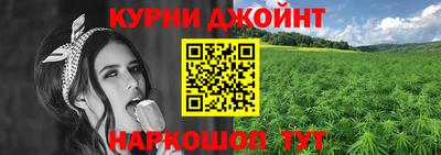 прущие грибы Беслан