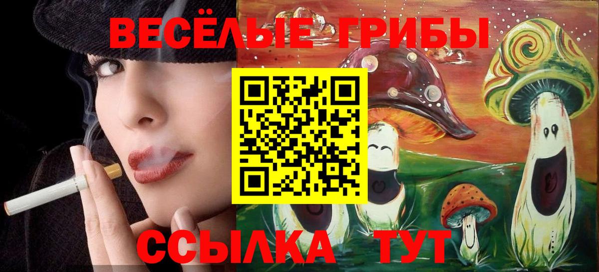 Гусиноозёрск  Галлюциногенные грибы прущие грибы  Галлюциногенные грибы Cubensis  цена   Вход с VPN 